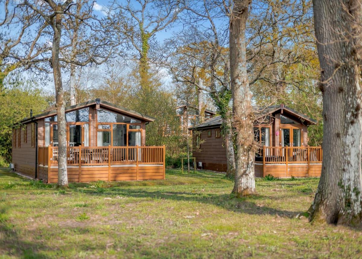 Wareham Forest Lodge Retreat Lytchett Minster Esterno foto