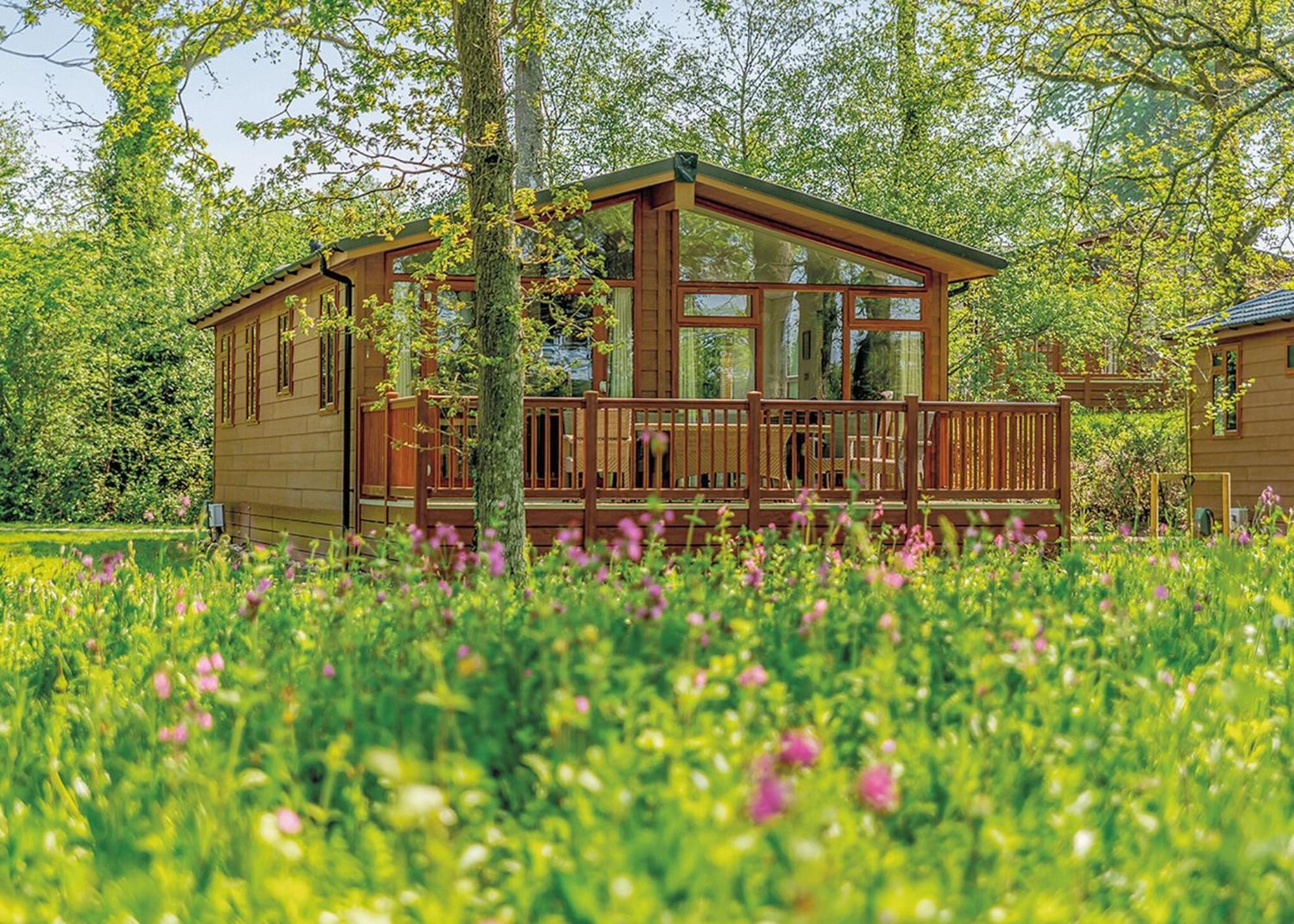 Wareham Forest Lodge Retreat Lytchett Minster Esterno foto